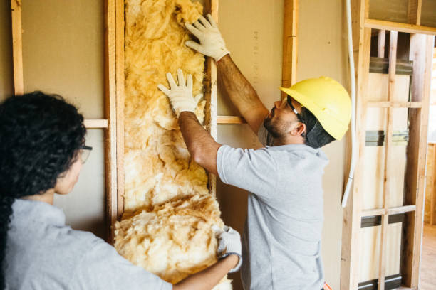 Best Energy-efficient Insulation  in Belpre, OH