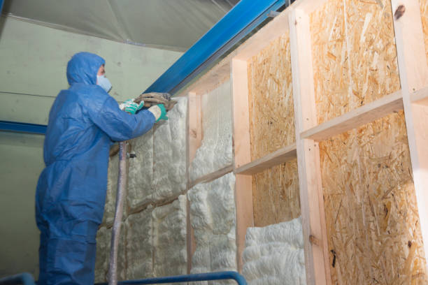 Best Best Insulation Companies  in Belpre, OH